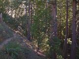 Garrapates State Park 003
